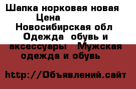 Шапка норковая новая › Цена ­ 5 500 - Новосибирская обл. Одежда, обувь и аксессуары » Мужская одежда и обувь   